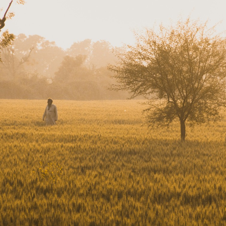 Punjab